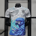 Maillots Brésil saison 2025-2026 édition spécial